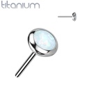 Push pin knopje QDT85