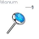 Push pin knopje QDT85