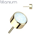 Push pin knopje QDT86