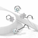 Steker neus ITNOS12 (Push in)