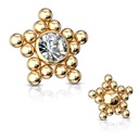 Schroef in knopje SAS43