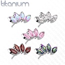 Push pin knopje QDT44