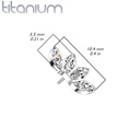 Push pin knopje QDT44