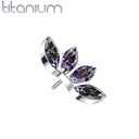 Push pin knopje QDT44