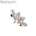 Push pin knopje QDT44