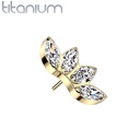 Push pin knopje QDT44