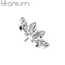 Push pin knopje QDT44