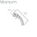 Push pin knopje QDT72