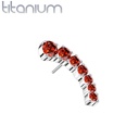 Push pin knopje QDT72