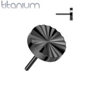 Push pin disk QDT931