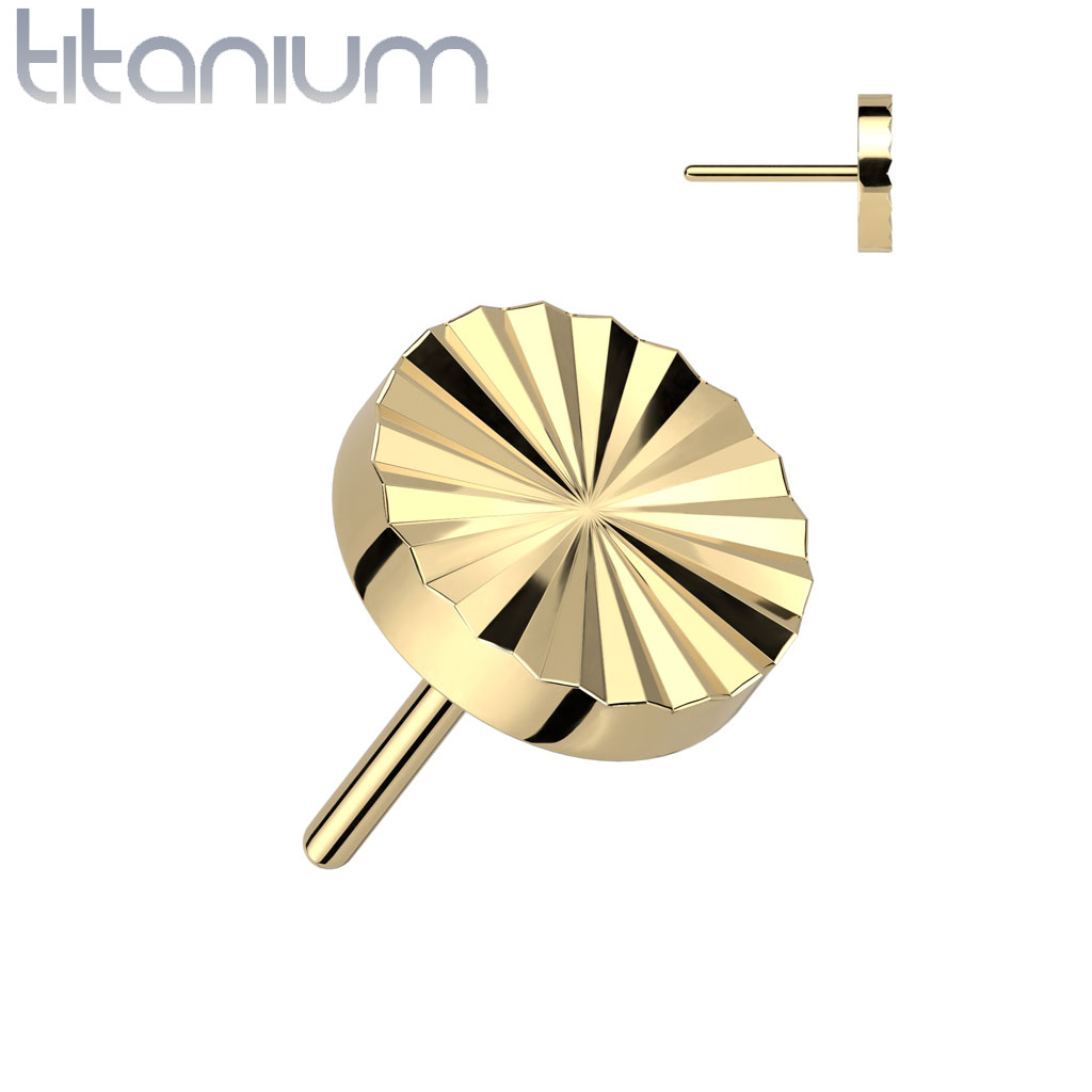 Push pin disk QDT931