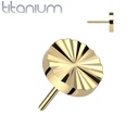 Push pin disk QDT931