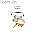 Push pin pootje QDT91