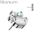 Push pin pootje QDT91