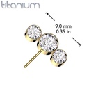 Push pin knopje QDT26