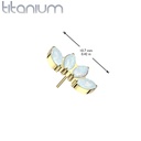 Top QDT159 (Steentjes) (Push pin)