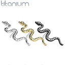 Top QDT49 (slang) (Push pin)