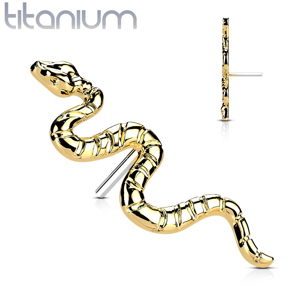 Top QDT49 (slang) (Push pin)