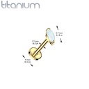 Top TIL102P (Steentje) (Push pin)