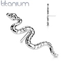 Top QDT49 (slang) (Push pin)