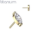 Top QDT53-GDC (Push pin)